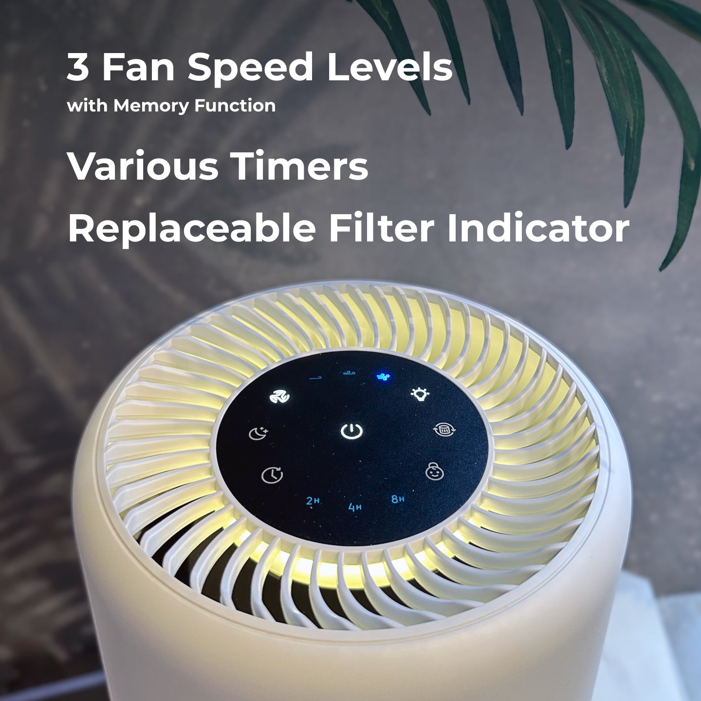 Atmotube AIR + Replacement Filter Bundle